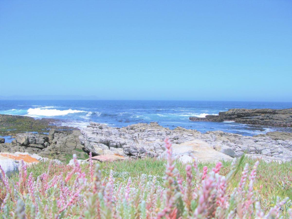 Beachfront House - Hermanus Whale View Villa Luaran gambar
