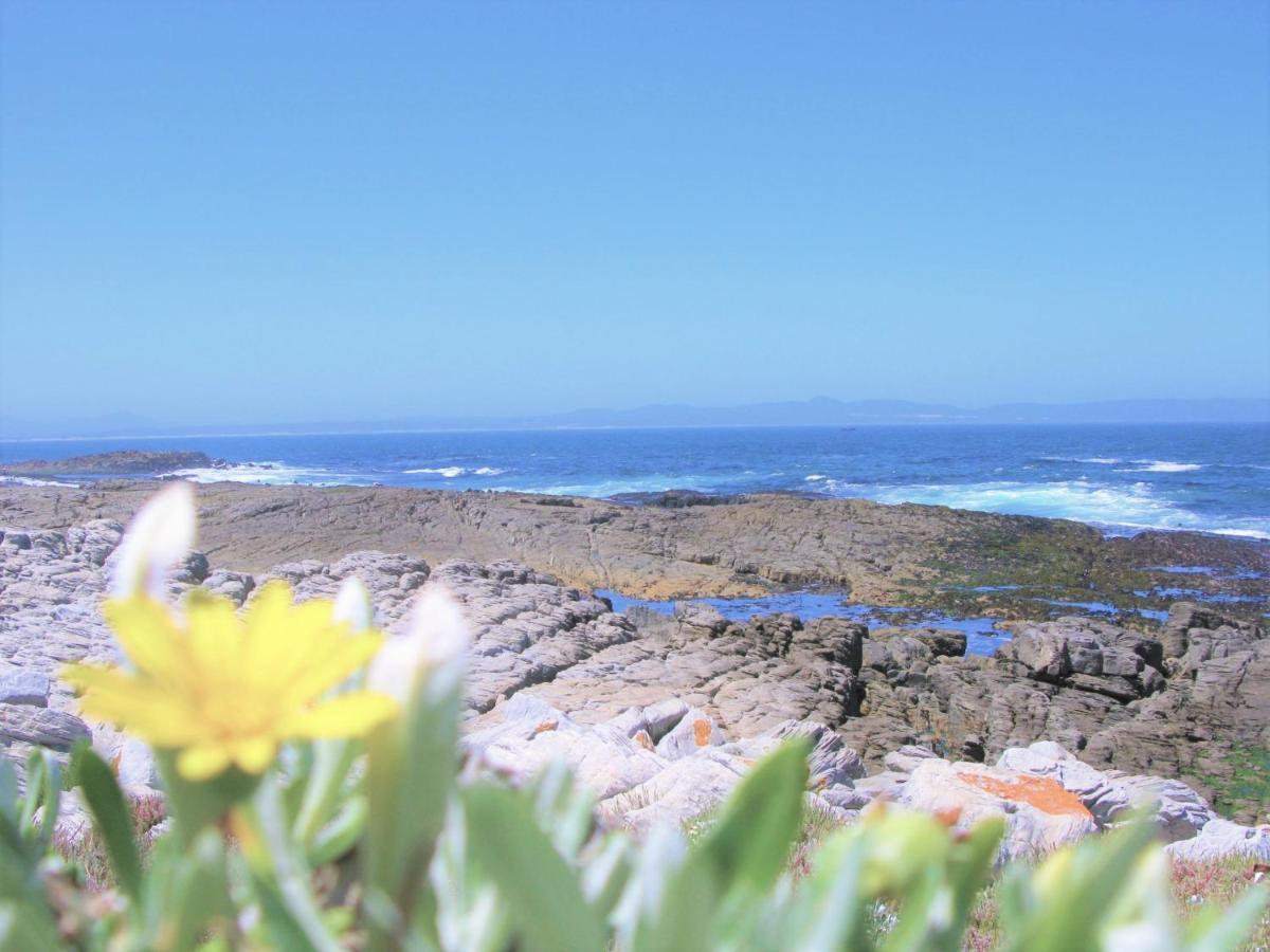 Beachfront House - Hermanus Whale View Villa Luaran gambar