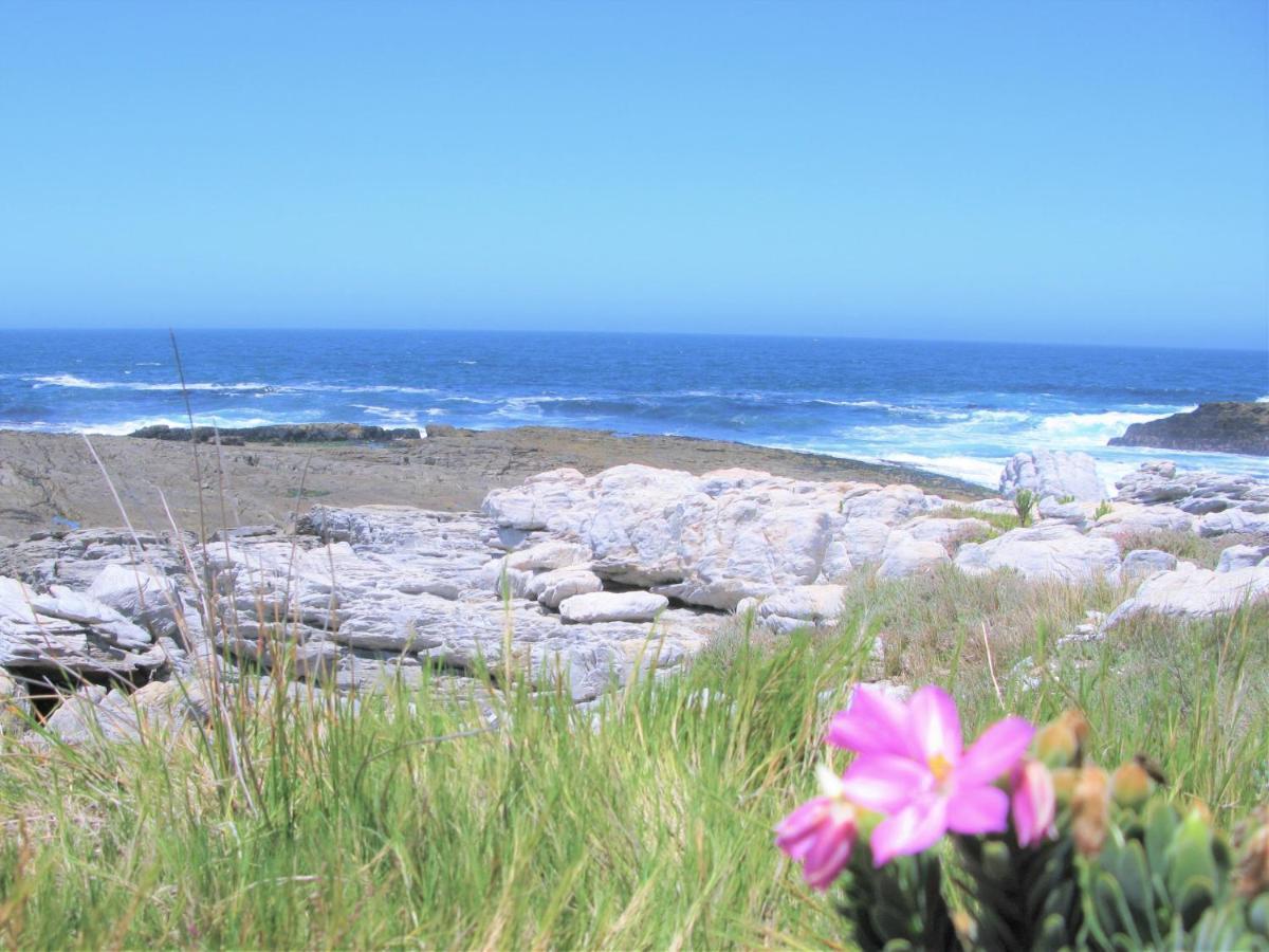 Beachfront House - Hermanus Whale View Villa Luaran gambar
