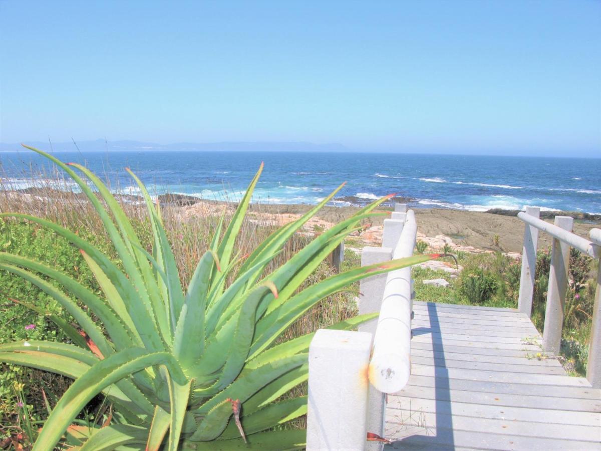 Beachfront House - Hermanus Whale View Villa Luaran gambar
