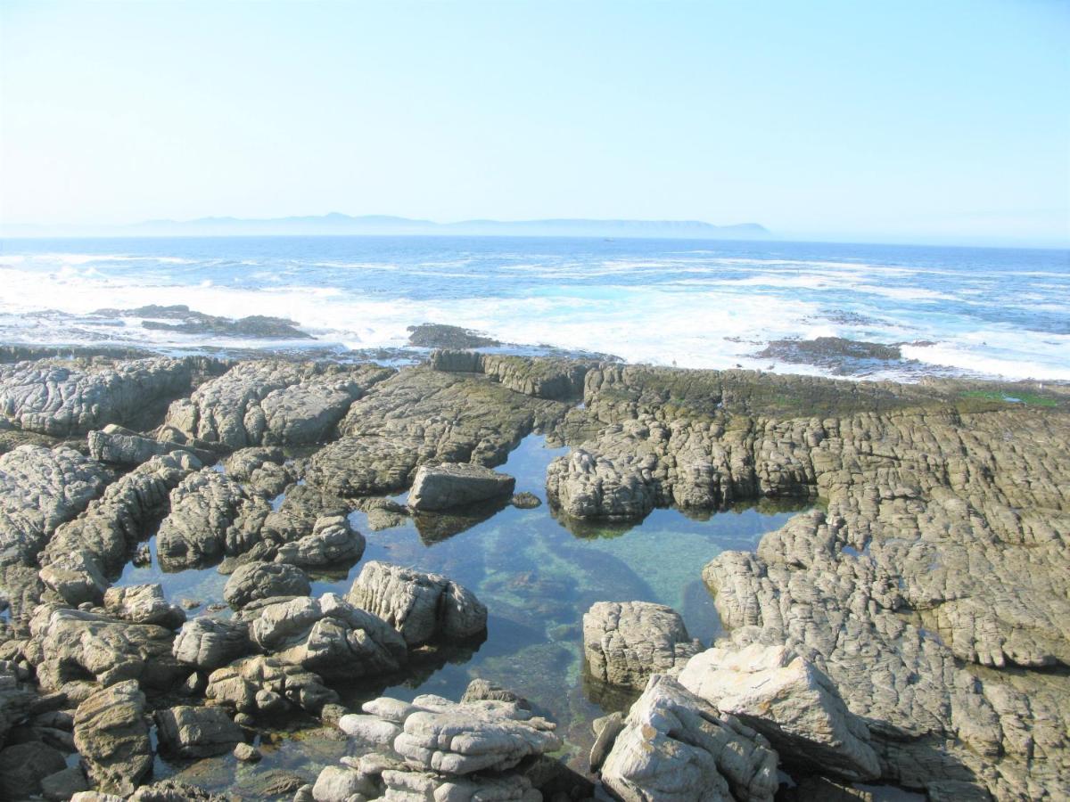 Beachfront House - Hermanus Whale View Villa Luaran gambar