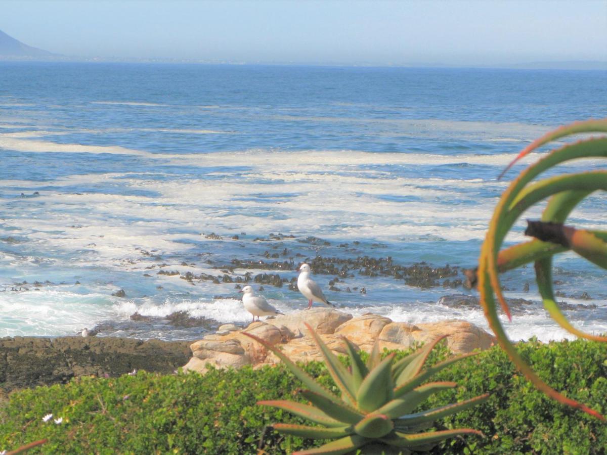 Beachfront House - Hermanus Whale View Villa Luaran gambar