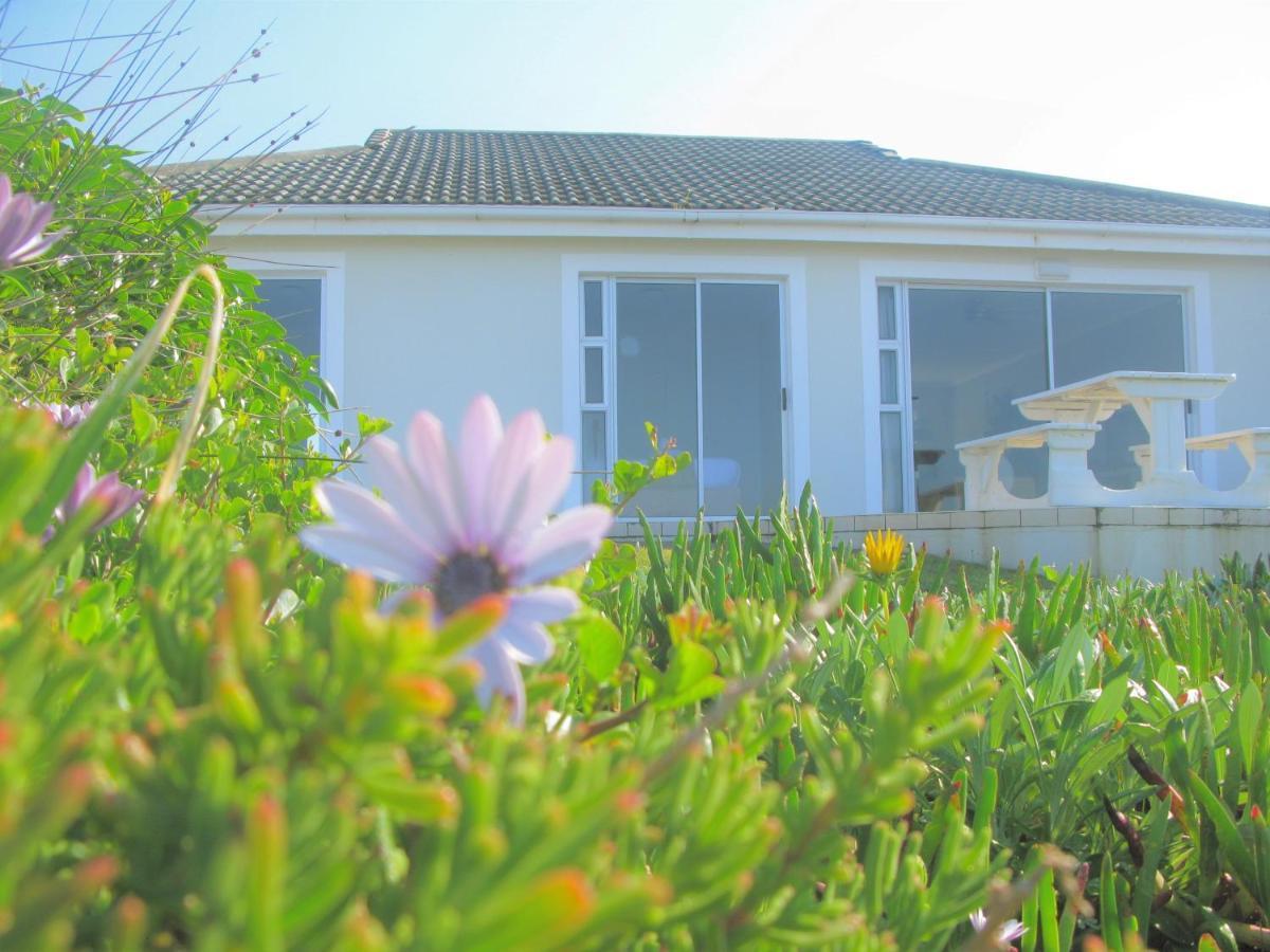 Beachfront House - Hermanus Whale View Villa Luaran gambar